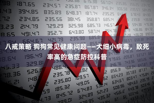 八戒策略 狗狗常见健康问题——犬细小病毒，致死率高的急症防控科普