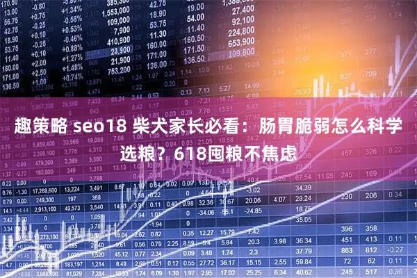 趣策略 seo18 柴犬家长必看：肠胃脆弱怎么科学选粮？618囤粮不焦虑