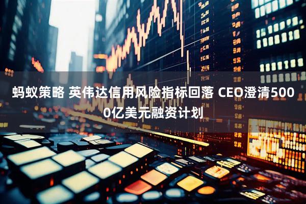 蚂蚁策略 英伟达信用风险指标回落 CEO澄清5000亿美元融资计划